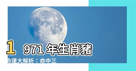 1971 豬|【1971生肖】1971生肖豬運勢大解析！十豬九苦是真的嗎？